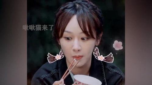 秦海璐爆料杨紫视频,揭秘娱乐圈幕后风波  第2张